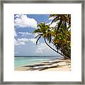 Beach Pigeon Point Tobago West Indies Framed Print