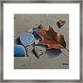 Beached Ii Framed Print