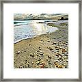 Beach Sunset And Seashells Framed Print