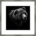 Portrait Of Bear In Black And White Framed Print