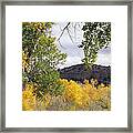 Beautiful Autumn Landscape Framed Print