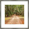 Beautiful Dirt Road Framed Print