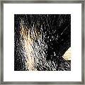 Beautiful Eyes Framed Print