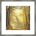 Beautiful Fall Framed Print