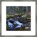 Beautiful Forest Stream Framed Print