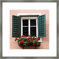 Beautiful Window With Flower Box And Shutters Framed Print