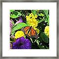 Beauty All Around Framed Print