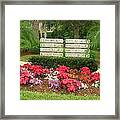 Beauty At Pelican Cove Framed Print