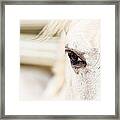 Beauty Framed Print