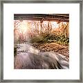 Beauty From Under The Old Bridge Framed Print