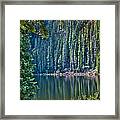 Beaver Lake Framed Print