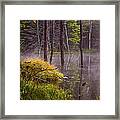 Beaver Lodge Framed Print