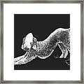 Bedlington Terrier Framed Print