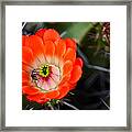 Bee Ware The Thorns Framed Print