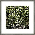 Believes ... Framed Print