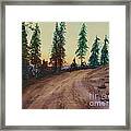 Bergebo Forest Framed Print