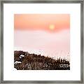 Between Rocks And The Sunrise Framed Print