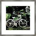 Bicycle And Bird House Framed Print