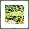 Bicycling By The Lake Framed Print