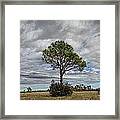Big Cypress, Florida Framed Print