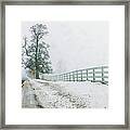 Big Tree In Snow Storm Framed Print