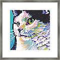 Billi Cat Baby Framed Print