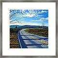 Birch Tree Along The Road Framed Print