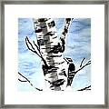 Birch Tree Framed Print
