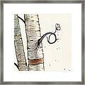 Birch Tree Meets White Butterfly Framed Print