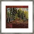 Birches Along The Lane Framed Print