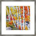 Birches Along The River Framed Print