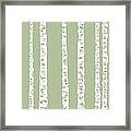 Birches Dii Framed Print