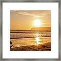 Bird And His Sunset Framed Print
