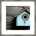 Bird House Of Blue By Diana Sainz Framed Print