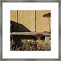 Bird House On Bench Framed Print