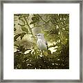 Bird In A Bush Framed Print