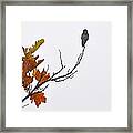Bird Of Autumn Framed Print