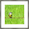 Bird On A Wire Framed Print