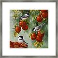 Bird Painting - Apple Harvest Chickadees Framed Print