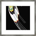 Bird Wing Fractal Framed Print