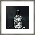 Birdcage Framed Print