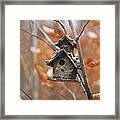 Birdhouse Hanging On Branch With Leaves Framed Print