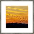 Birds In The Sunset Framed Print