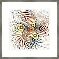 Birds Of Paradise Framed Print