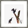 Birds On The Way To Fly Framed Print