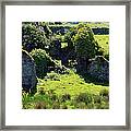 Birth Place Of The Liberator Framed Print