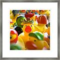 Rubber Duckies Framed Print