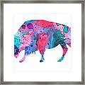 Bison 2 Framed Print