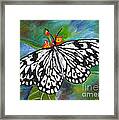 Black And White Butterfly Framed Print