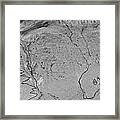 Black And White Abstract Nature Framed Print